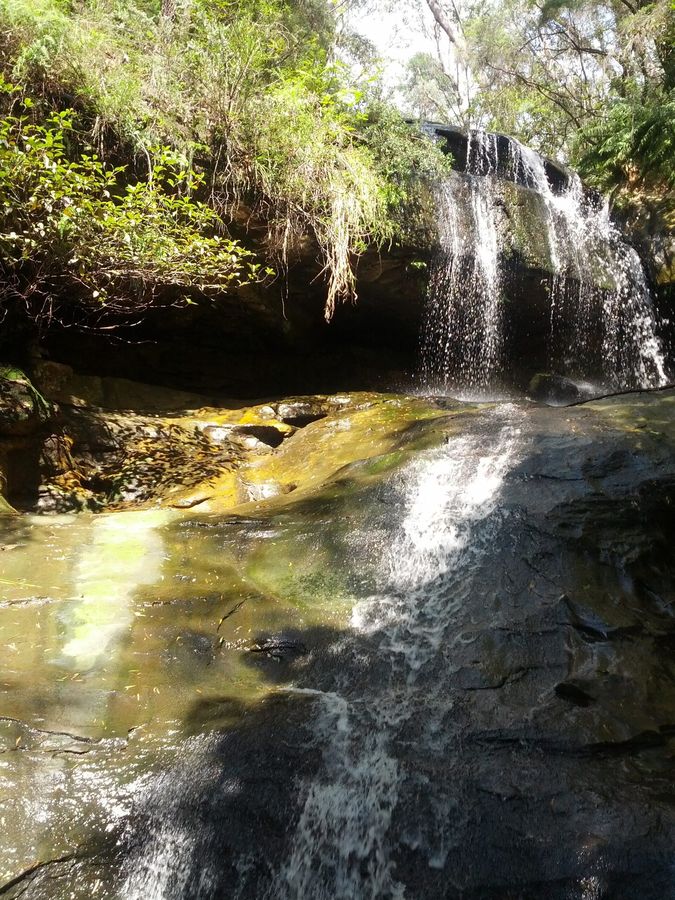Hazelbrook